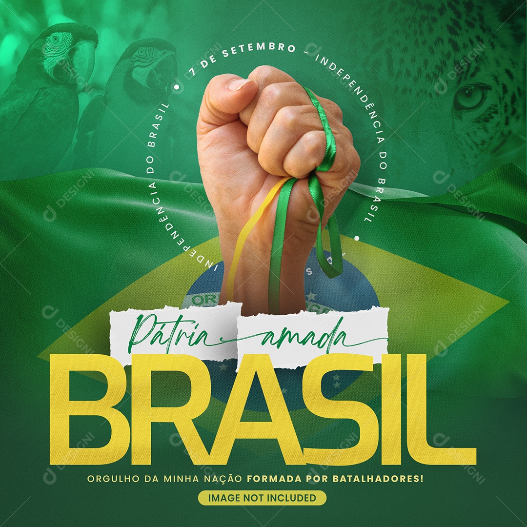Dia da Independência do Brasil 7 De Setembro Social Media PSD Editável