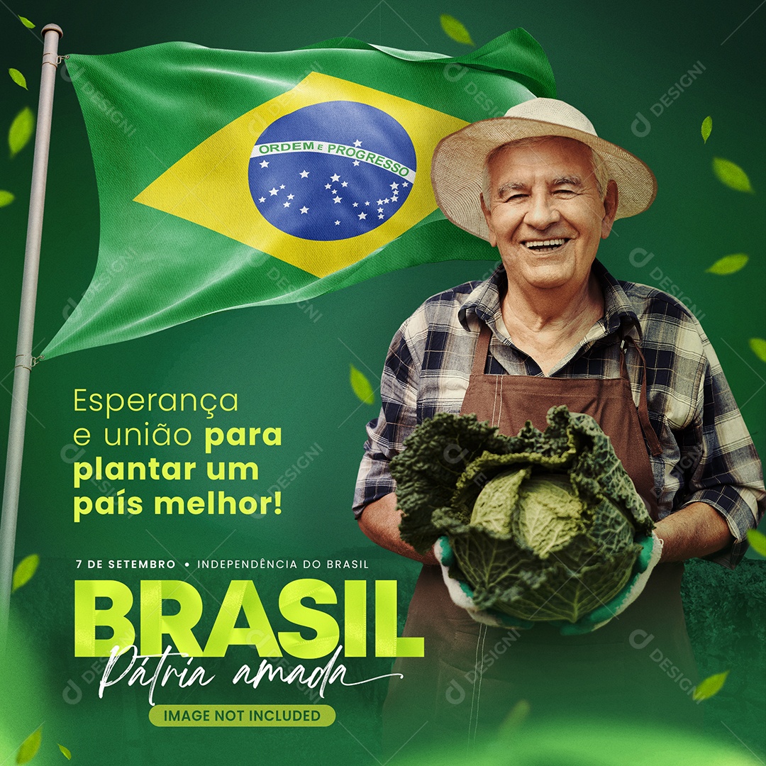 Dia Da Independência do Brasil Esperança e União para Plantar um Pais Melhor Social Media PSD Editável