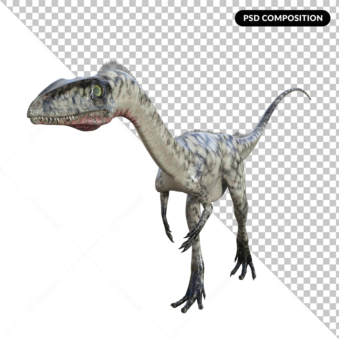 Dinossauro Coelophysis Elemento 3D para Composição PSD