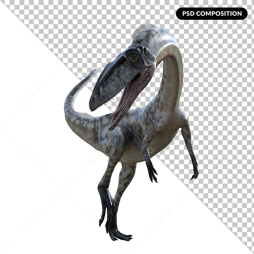 Dinossauro Coelophysis Elemento 3D para Composição PSD