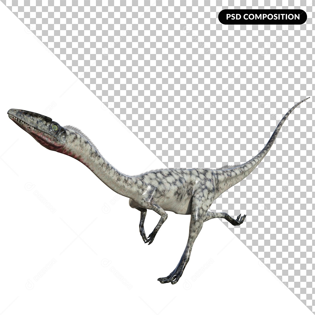 Dinossauro Coelophysis Elemento 3D para Composição PSD