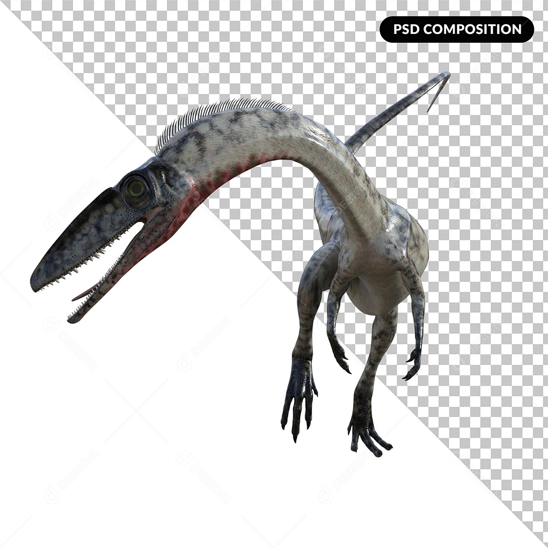 Dinossauro Coelophysis Elemento 3D para Composição PSD