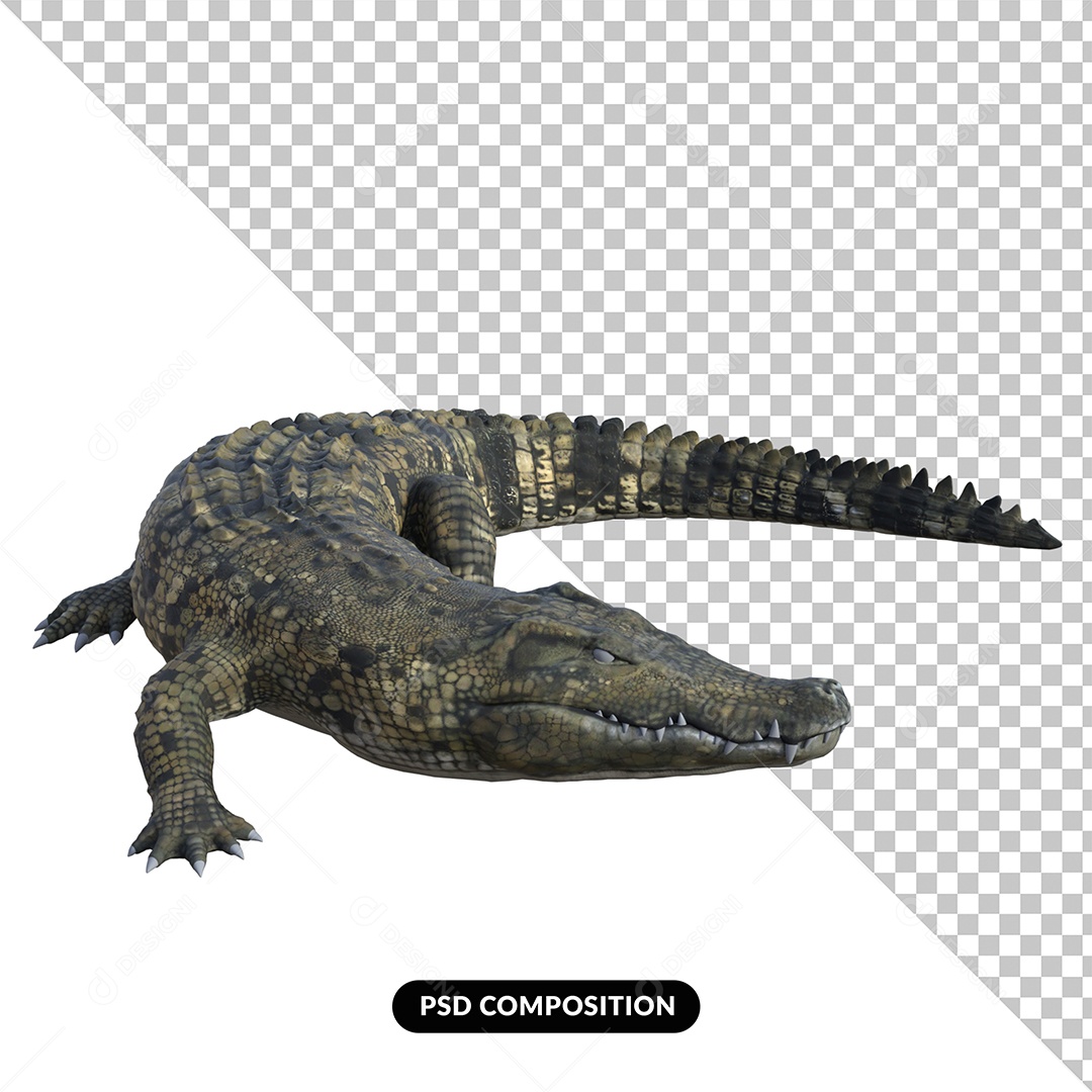 Elemento 3D Crocodilo para Composição PSD