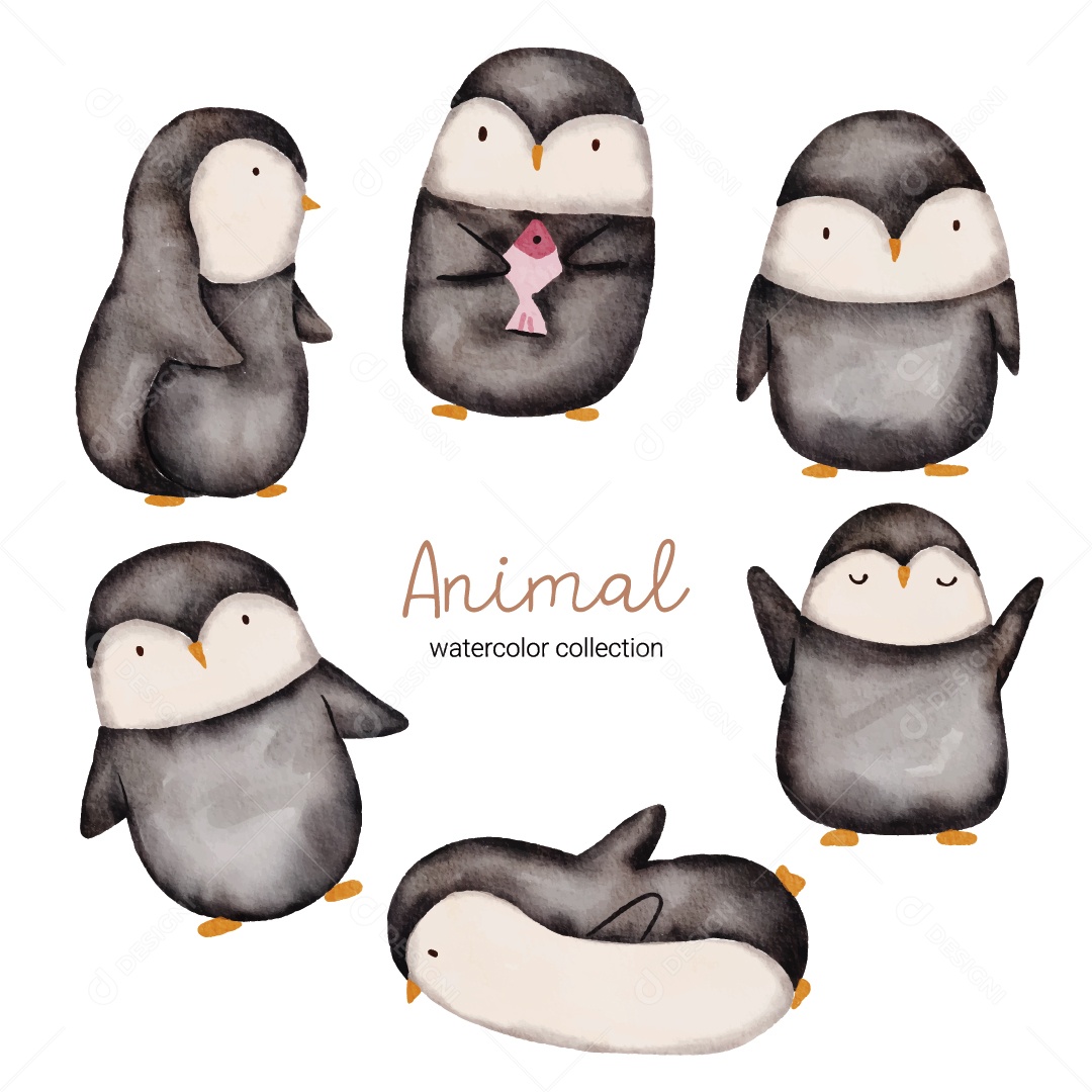 Pinguim Ilustração Vetor EPS