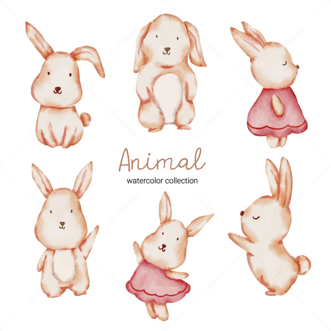 Coelho Ilustração Vetor EPS