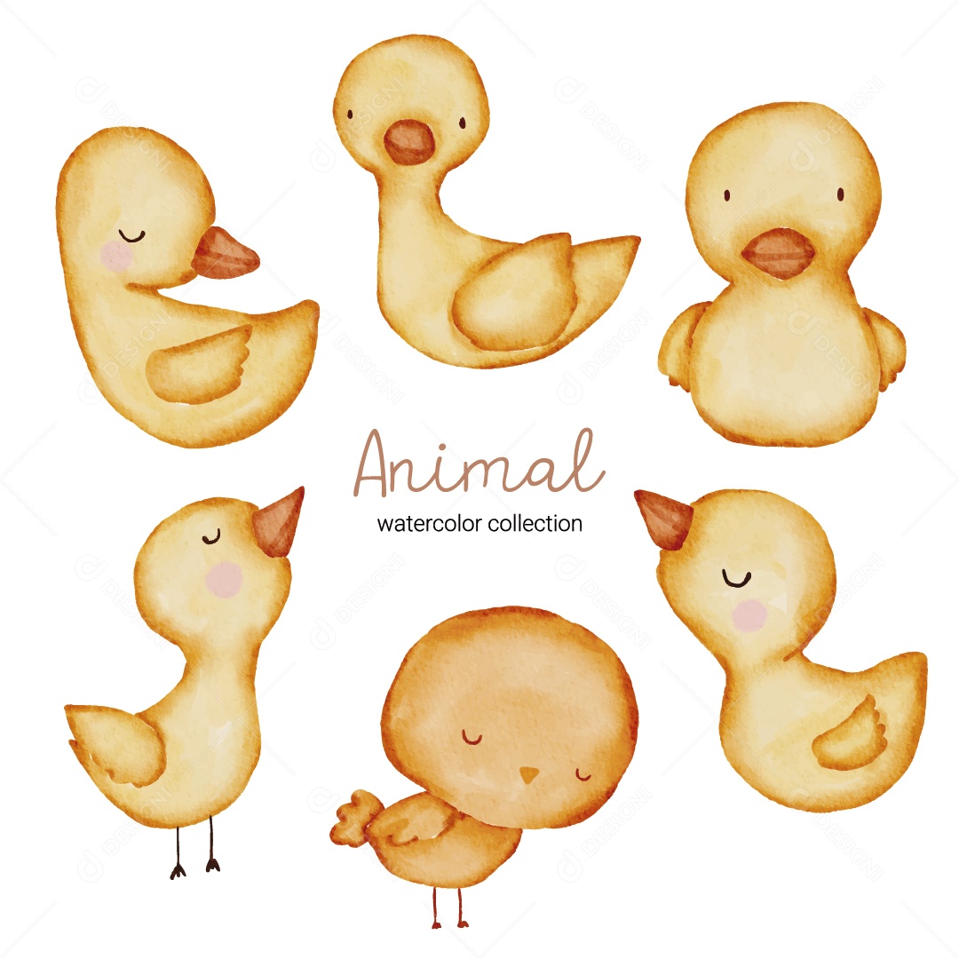 Pato Ilustração Vetor EPS