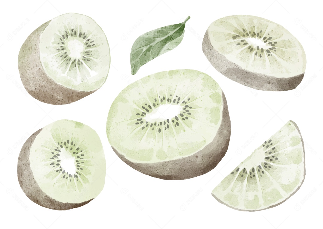 Kiwi Ilustração Vetor EPS