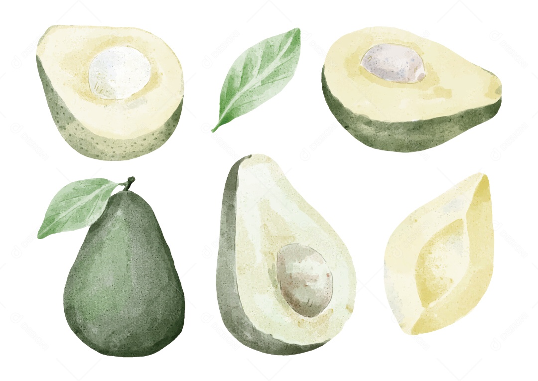 Abacate Ilustração Vetor EPS