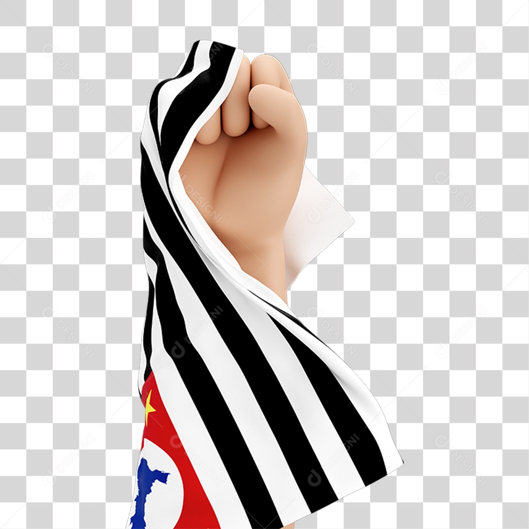Mão Erguida com Bandeira de São Paulo PNG Transparente