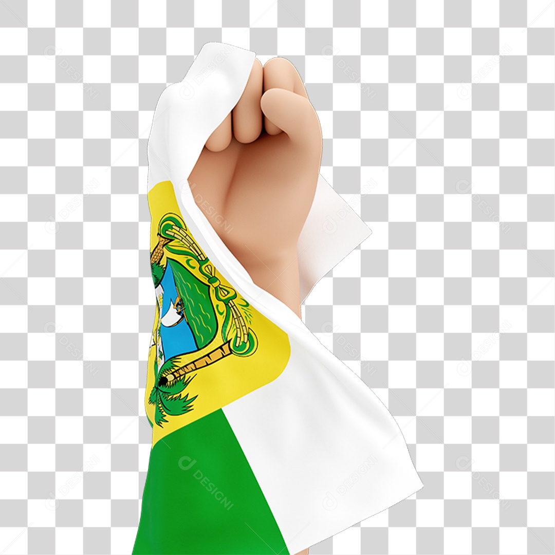 Mão Erguida com Bandeira de Rio Grande do Norte PNG Transparente