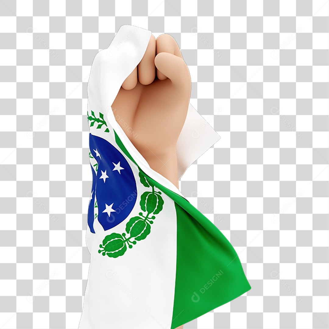 Mão Erguida com Bandeira de Paraná PNG Transparente