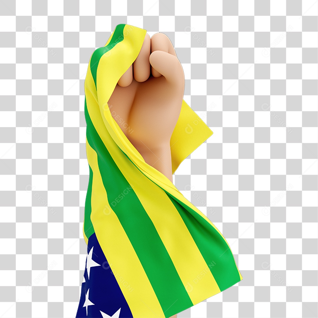 Mão Erguida com Bandeira de Goiás PNG Transparente