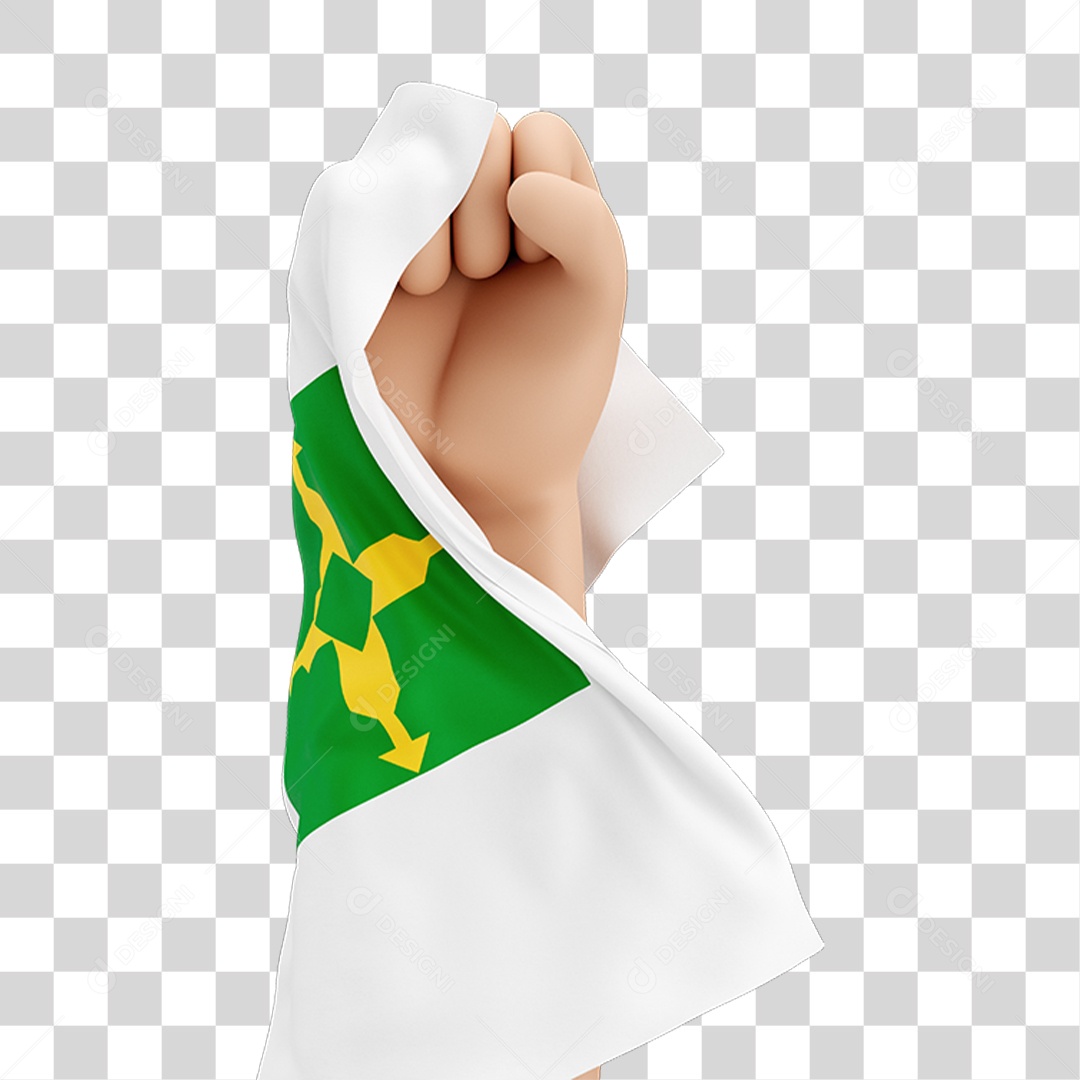 Mão Erguida com Bandeira de Distrito Federal PNG Transparente