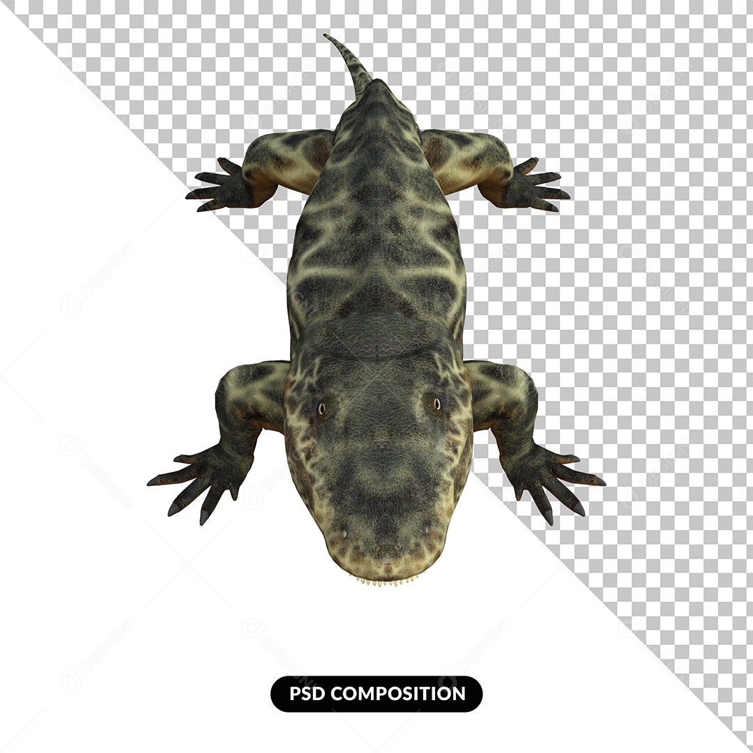 Eryops Dinossauro Elementos 3D para Composição PSD