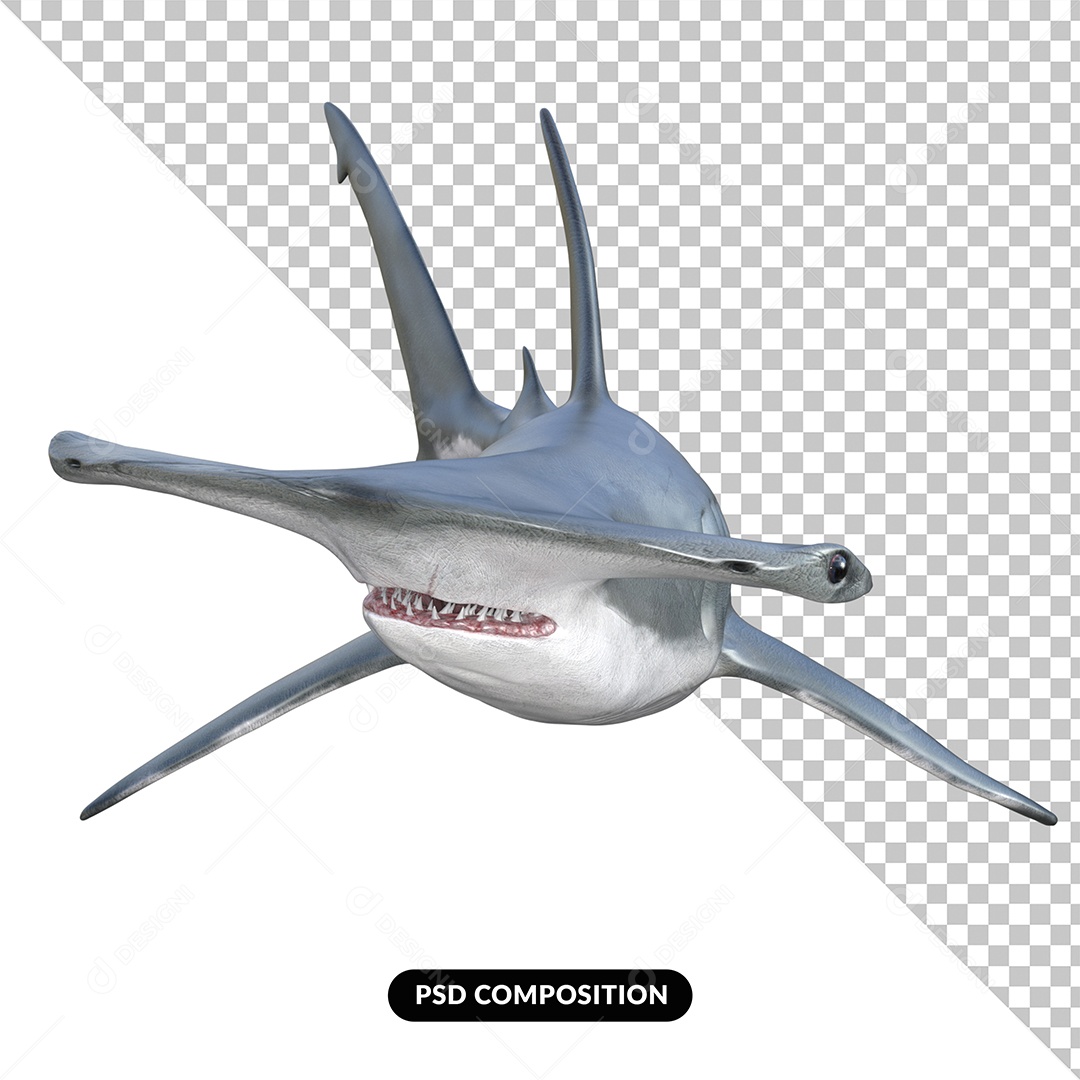 Tubarão Martelo Elemento 3D para Composição PSD