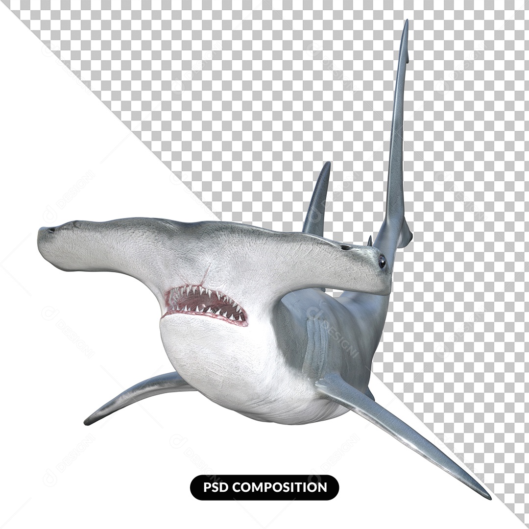 Tubarão Martelo Elemento 3D para Composição PSD