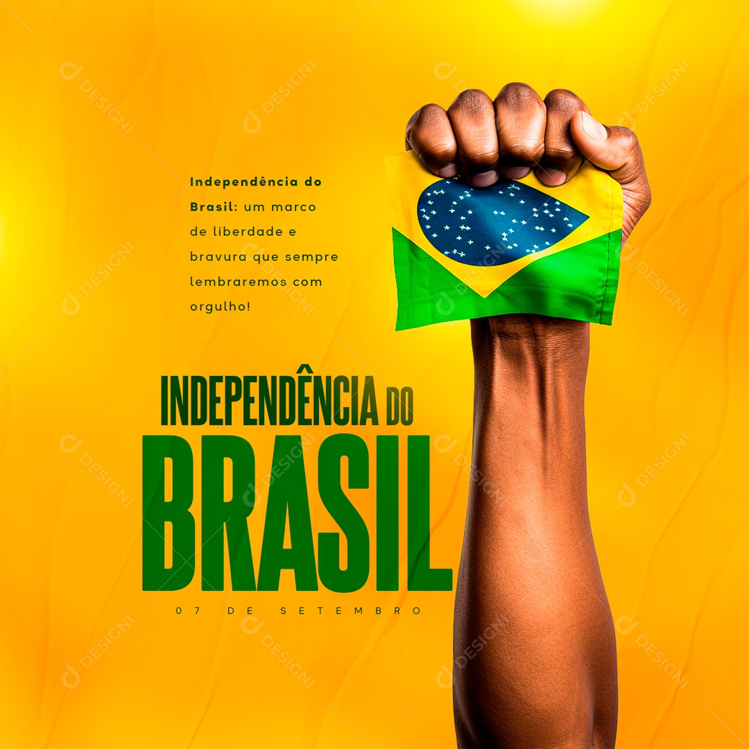 Social Media Independência Do Brasil 07 De Setembro PSD Editável