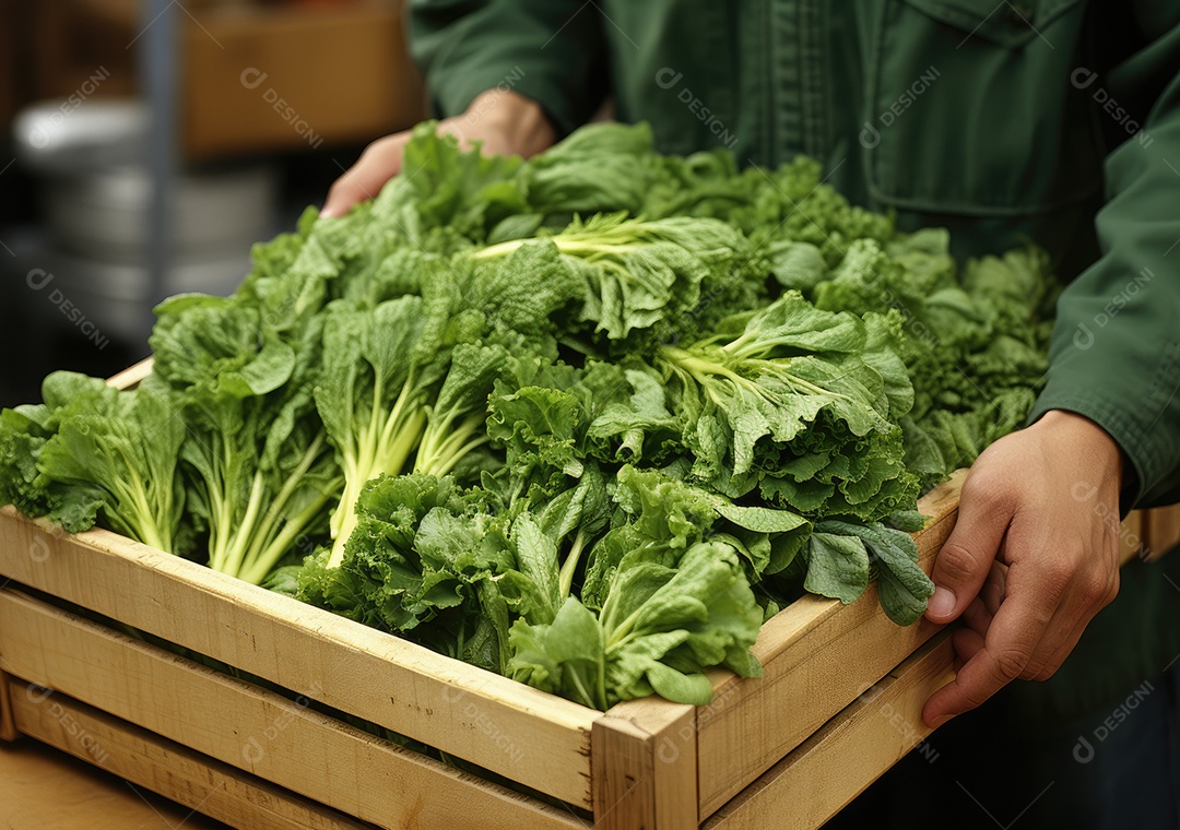 Mãos de pessoa segurando caixa de madeira com verduras