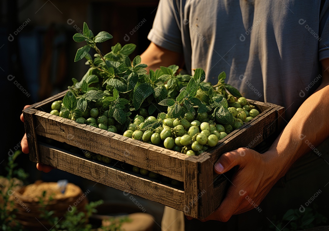 Mãos de pessoa segurando caixa de madeira com verduras