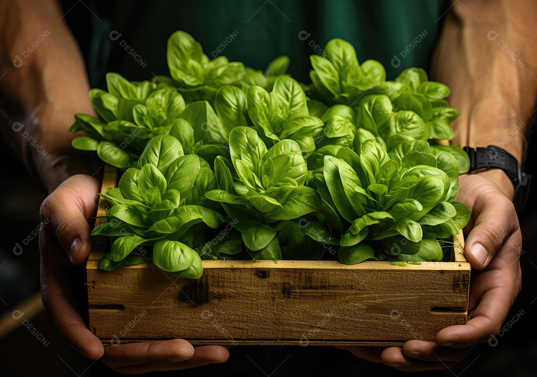Mãos de pessoa segurando caixa de madeira com verduras