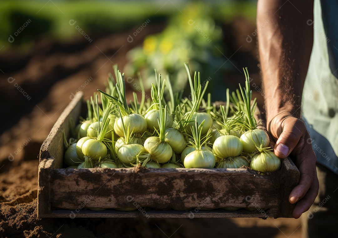 Mãos de pessoa segurando caixa de madeira com verduras