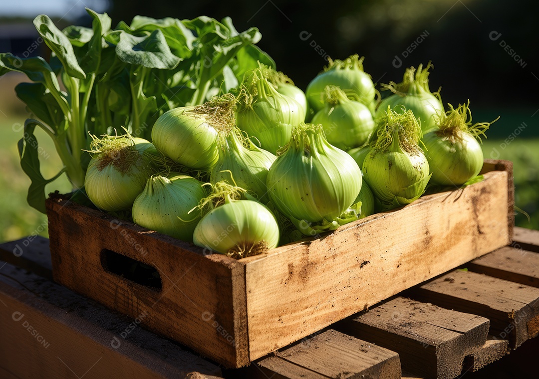 Mãos de pessoa segurando caixa de madeira com verduras