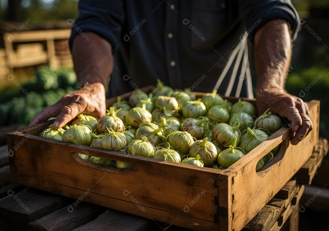 Mãos de pessoa segurando caixa de madeira com verduras