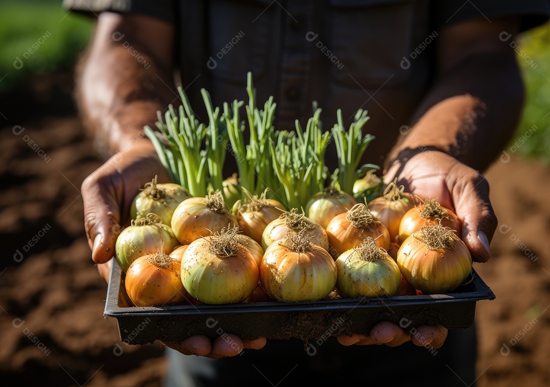 Mãos de pessoa segurando caixa de madeira com verduras
