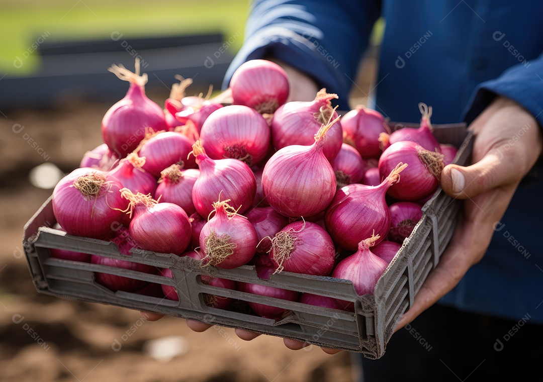 Mãos de pessoa segurando caixa de madeira com verduras