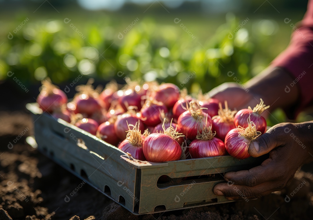 Mãos de pessoa segurando caixa de madeira com verduras