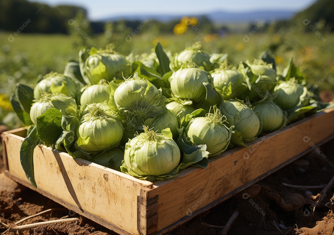 Caixa de madeira com verduras