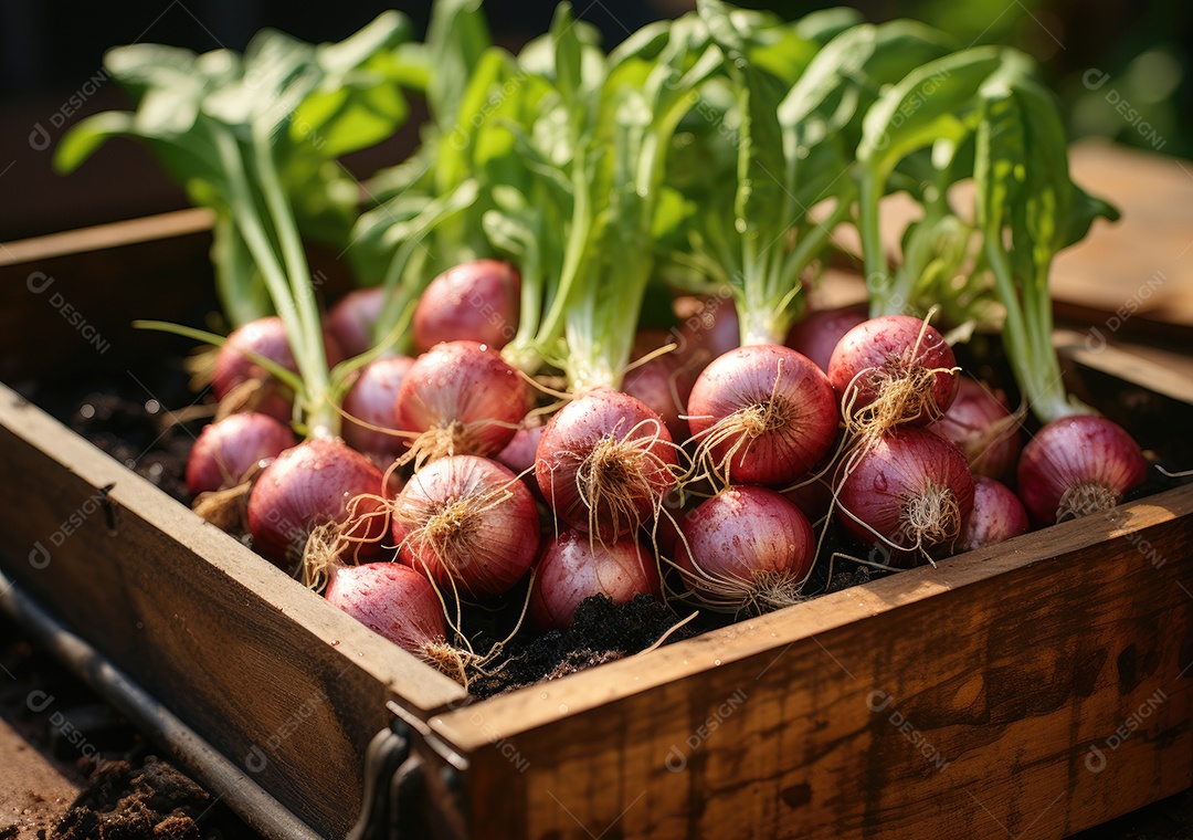 Caixa de madeira com verduras