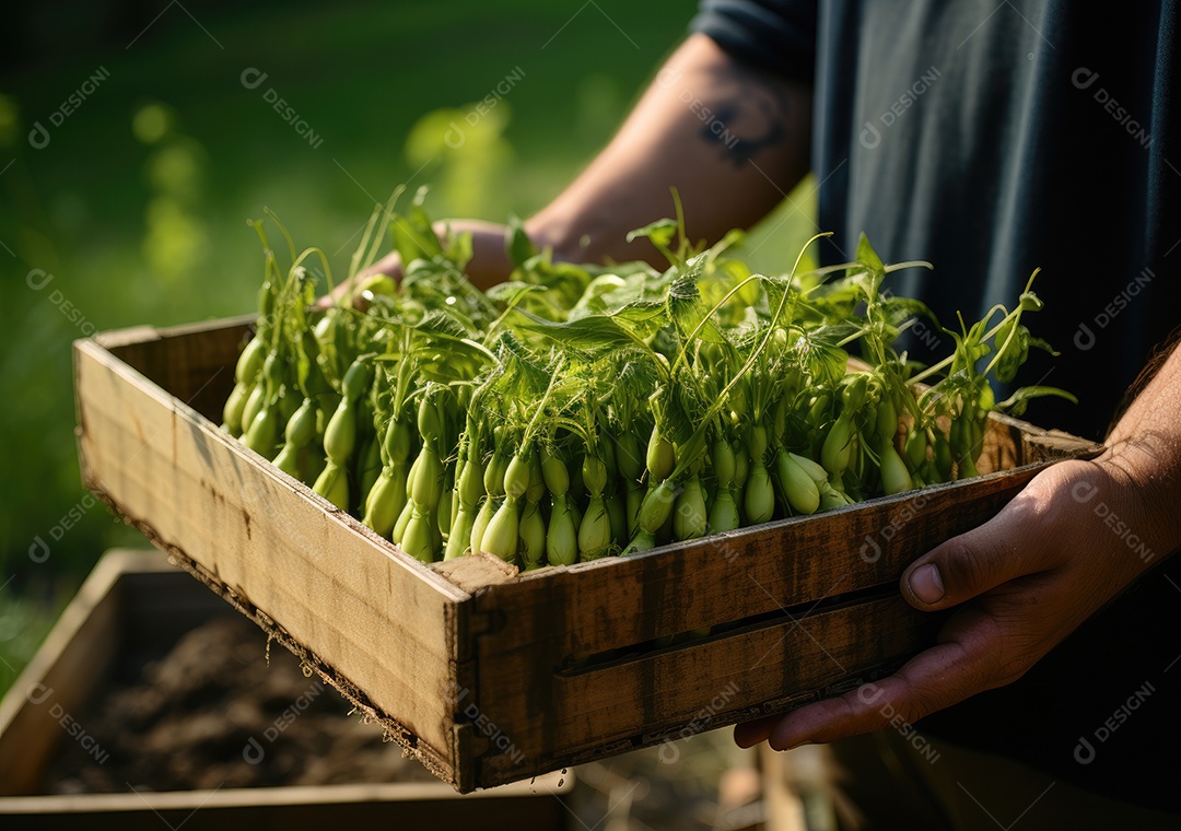 Verduras sobre uma caixa de madeira em uma mesa de madeira