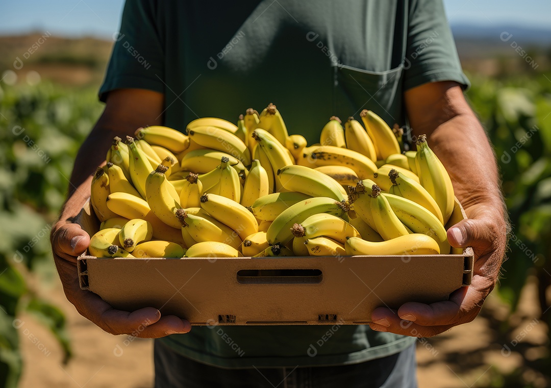 Frutas sobre uma caixa de madeira em uma mesa de madeira