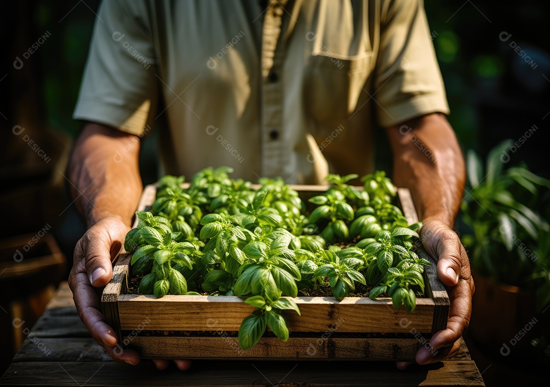 Verduras sobre uma caixa de madeira em uma mesa de madeira
