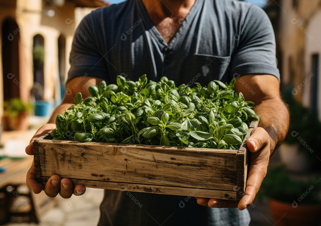 Mãos de pessoa segurando caixa de madeira com verduras
