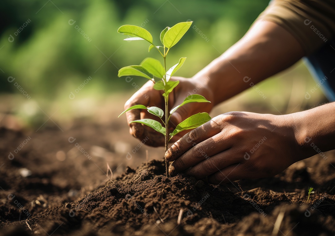 Mãos de pessoa agricultora plantando
