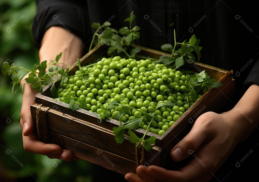 Mãos de pessoas segurando Verduras sobre uma caixa de madeira