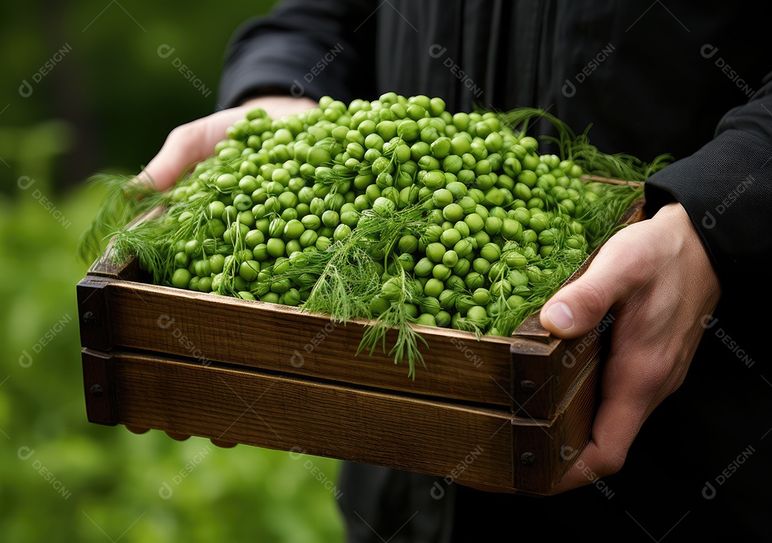 Mãos de pessoas segurando Verduras sobre uma caixa de madeira