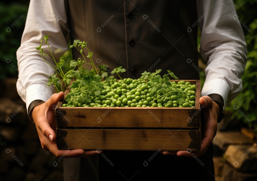 Mãos de pessoas segurando Verduras sobre uma caixa de madeira