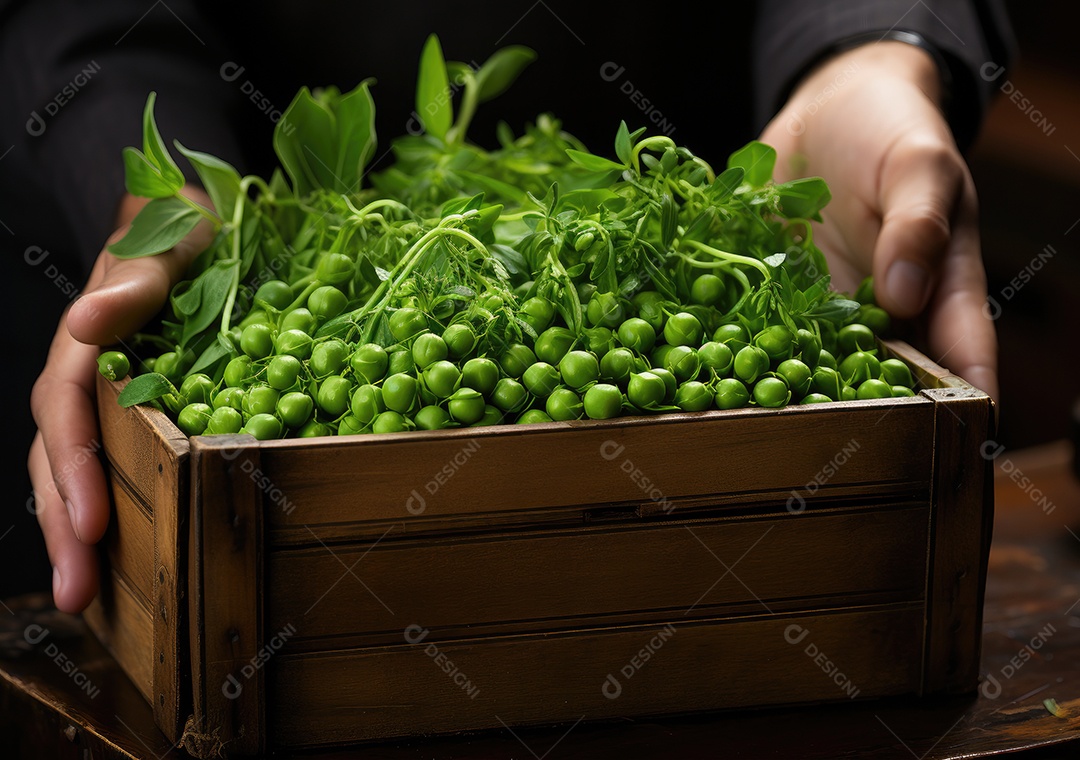 Mãos de pessoas segurando Verduras sobre uma caixa de madeira