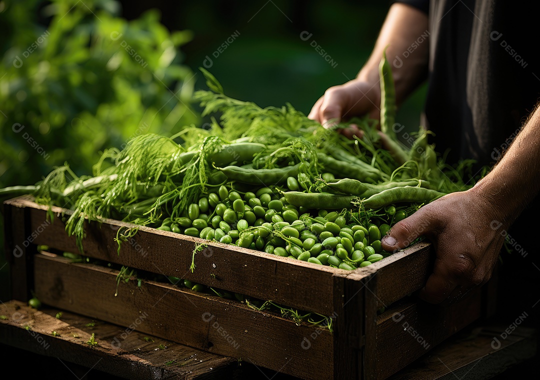 Mãos de pessoas segurando Verduras sobre uma caixa de madeira