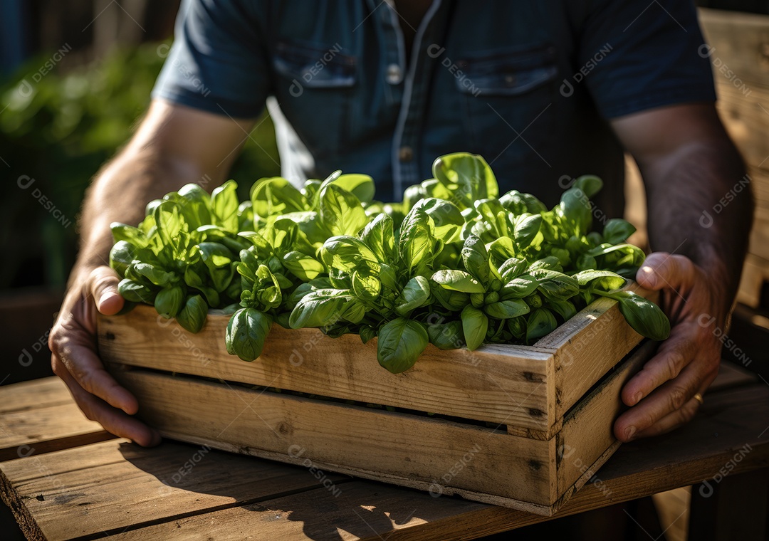 Mãos de pessoas segurando Verduras sobre uma caixa de madeira
