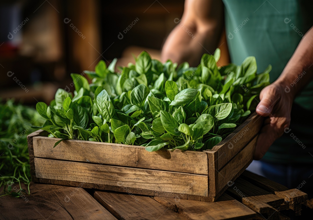 Mãos de pessoas segurando Verduras sobre uma caixa de madeira