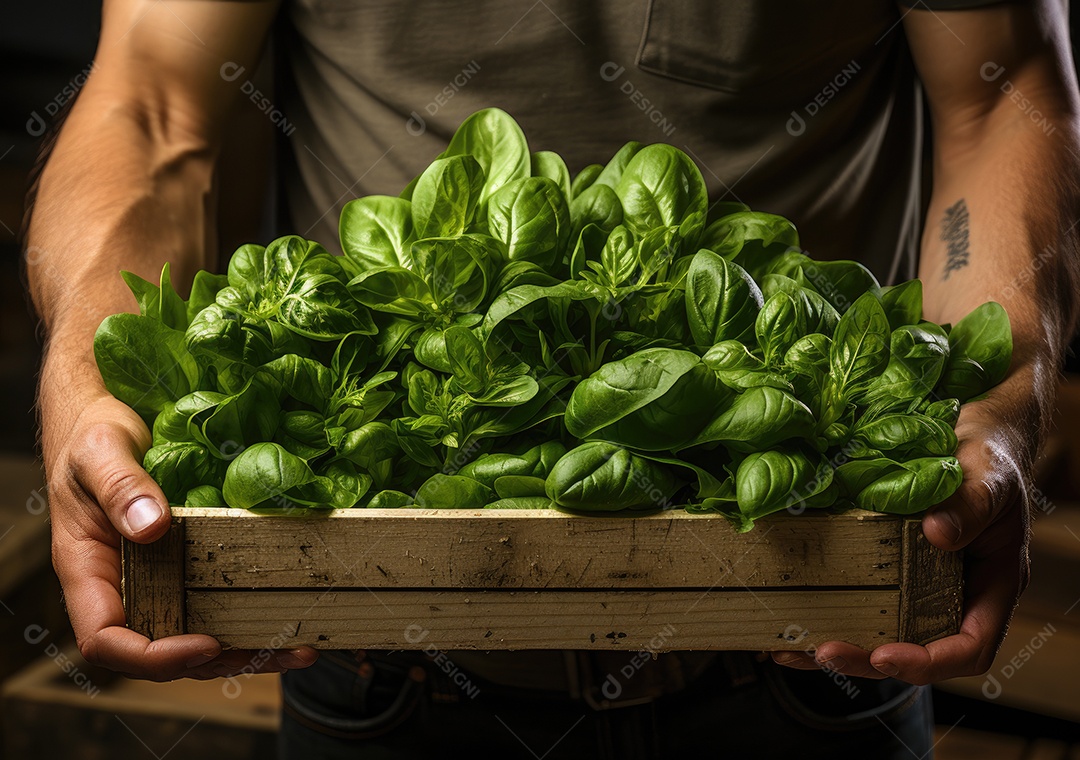 Mãos de pessoas segurando Verduras sobre uma caixa de madeira