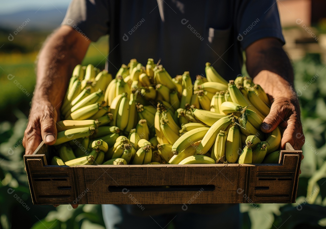Jovem agricultor com espinafre recentemente colhido na cesta. Segurando a mão