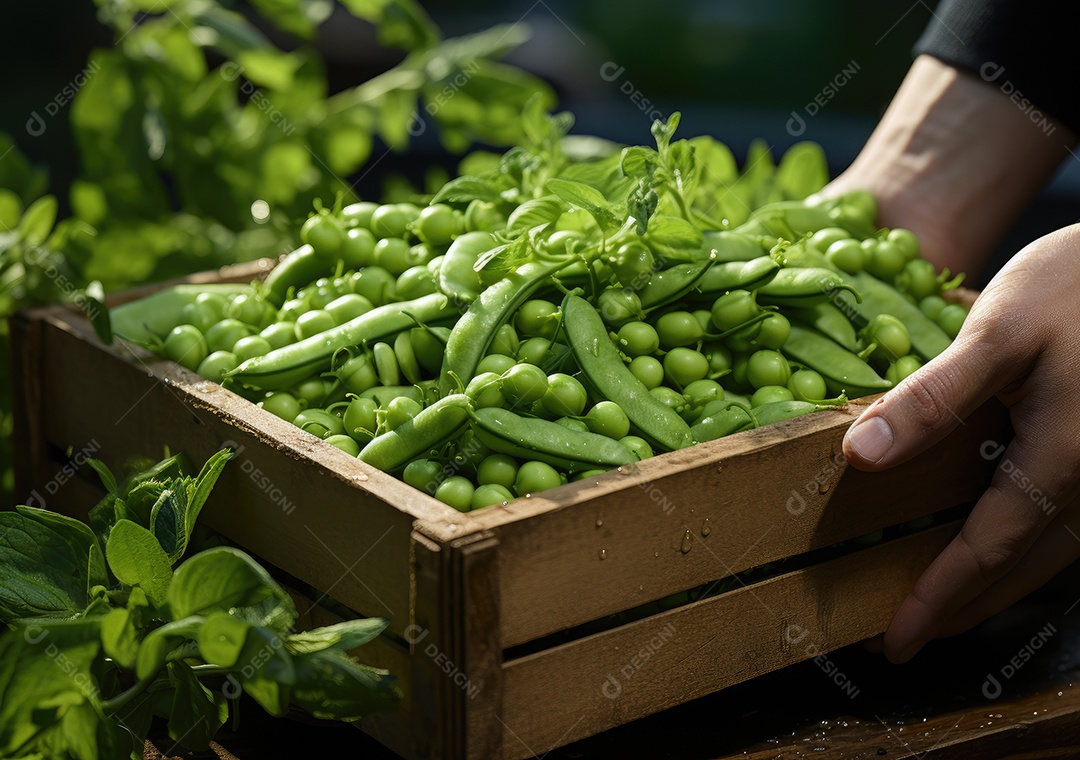 Agricultor ao lado de sua colheita