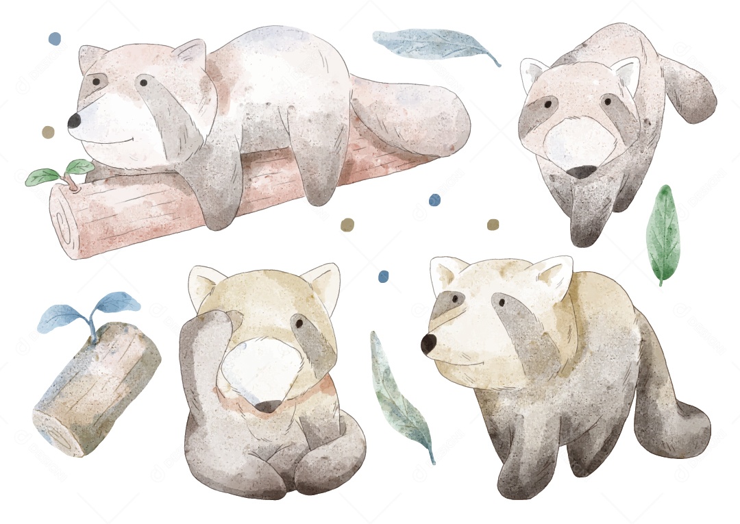 Guaxinim em Aquarela Ilustração Vetor EPS