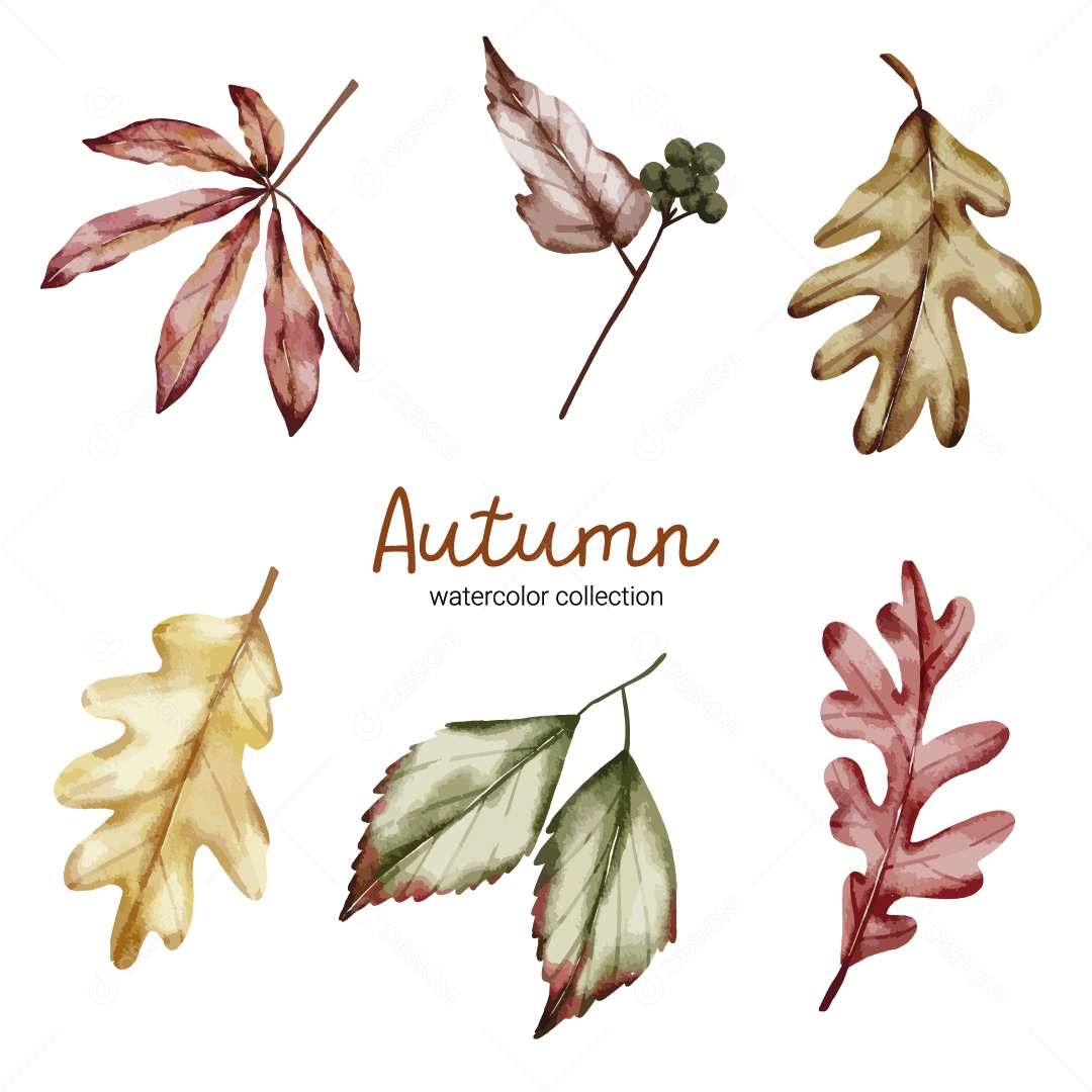 Ilustrações de Outono Vetor EPS