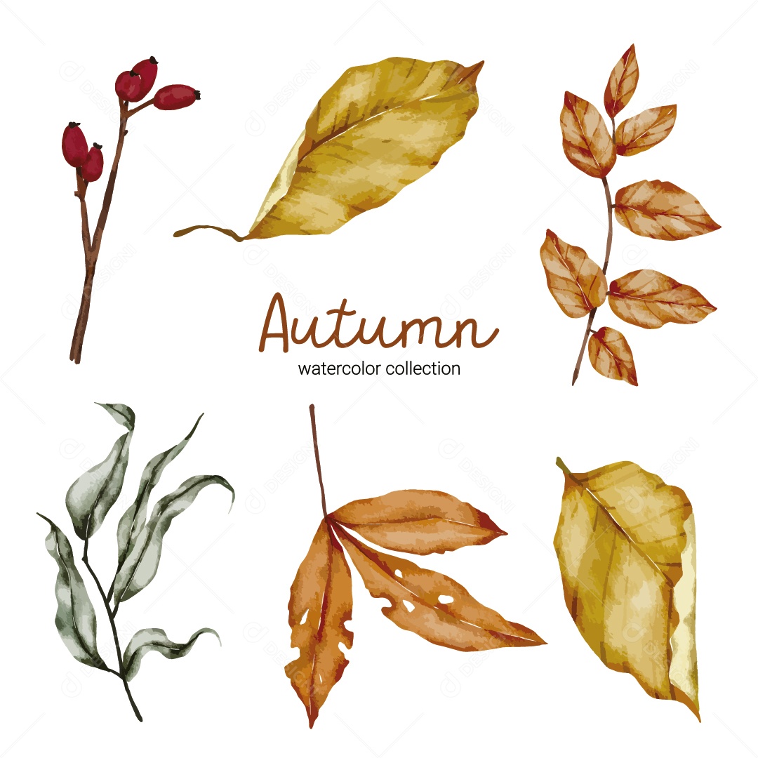 Ilustrações de Outono Vetor EPS